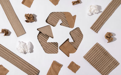 Cartone Riciclato: Packaging Food Sicuro e Green