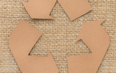 Imballaggi Riutilizzabili: La Rivoluzione Sostenibile del Packaging in Cartone